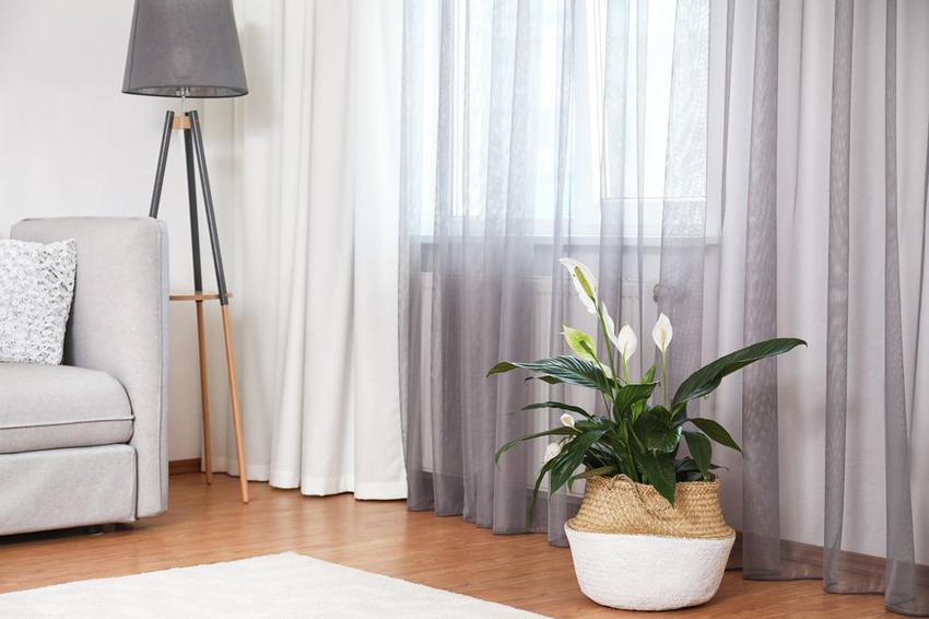 Cortinas onda perfecta