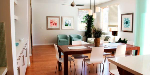 Inspiración y tendencias en cortinas para todos los estilos de hogar