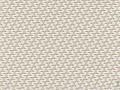 SATINE 5500 1002 50x80mm.jpg
